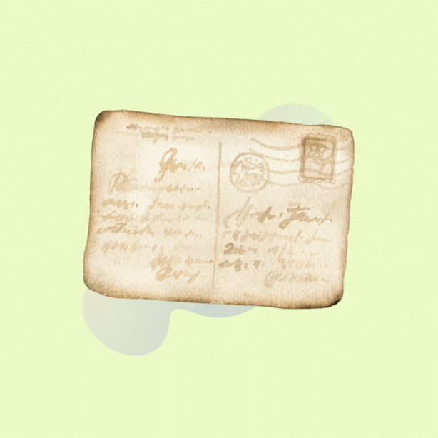 Website Development Agency