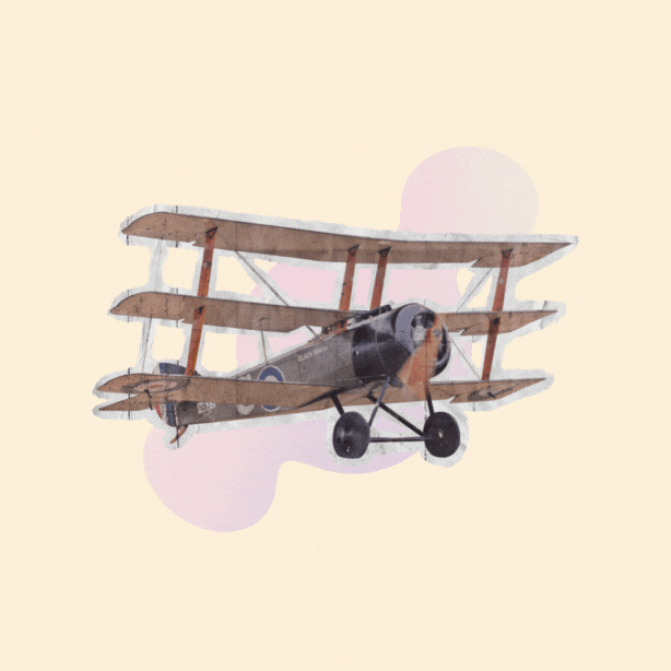 Website Development Agency